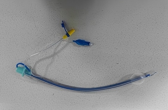 ��ǿ��̵��