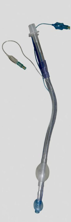 һ����ʹ��˫ǻ֧���ܲ��