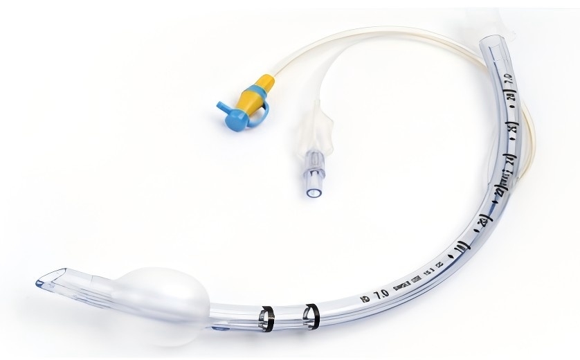 һ����ʹ�ó������ܲ��