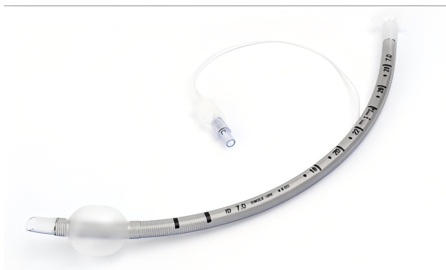 һ����ʹ�ó������ܲ��