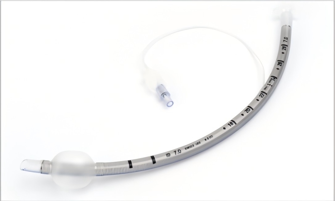 ��ǿ������