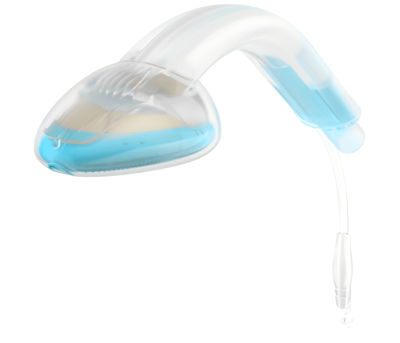 �����������������